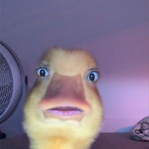 Meet your Posher, Jocelyn